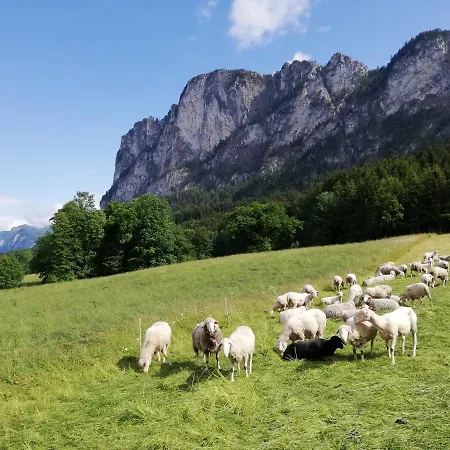 Apartmán Am Mondseeblick