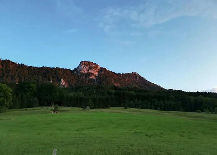 Am Mondseeblick شقة