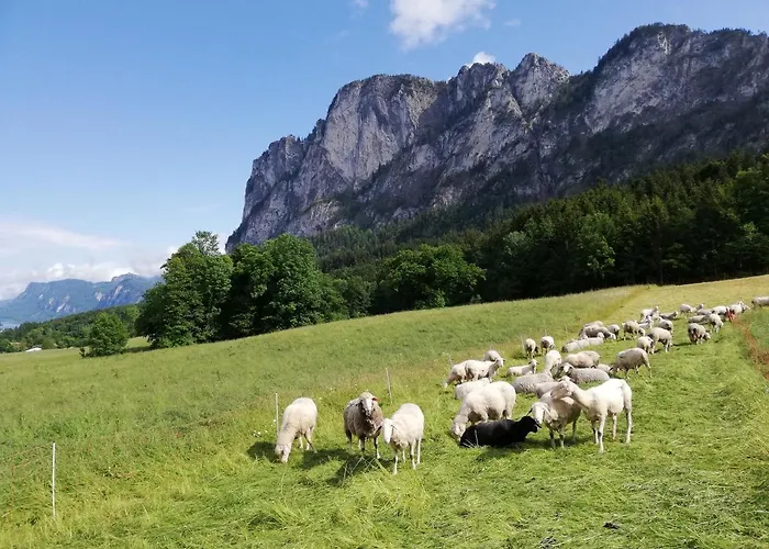 شقة Am Mondseeblick